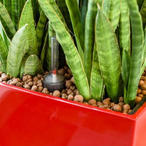 beplantingsplan1 - - interieurbeplanting kantoorplanten kantoorbeplanting hydrocultuur onderhoud planten plantenonderhoud moswand moswanden