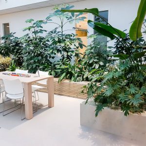 portfolio9 - - interieurbeplanting kantoorplanten kantoorbeplanting hydrocultuur onderhoud planten plantenonderhoud moswand moswanden