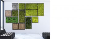 moswanden - Moswand groene moswanden muur kantoor offerte prijzen binnen muurdecoratie wachtkamer spreekkamer panelen met mos groen planten - interieurbeplanting kantoorplanten kantoorbeplanting hydrocultuur onderhoud planten plantenonderhoud roomdividers