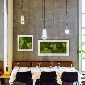 moswanden2 - Moswand groene moswanden muur kantoor offerte prijzen binnen muurdecoratie flexibele restaurant horeca eetzaal panelen met mos groen planten - interieurbeplanting kantoorplanten kantoorbeplanting hydrocultuur onderhoud planten plantenonderhoud moswand moswanden