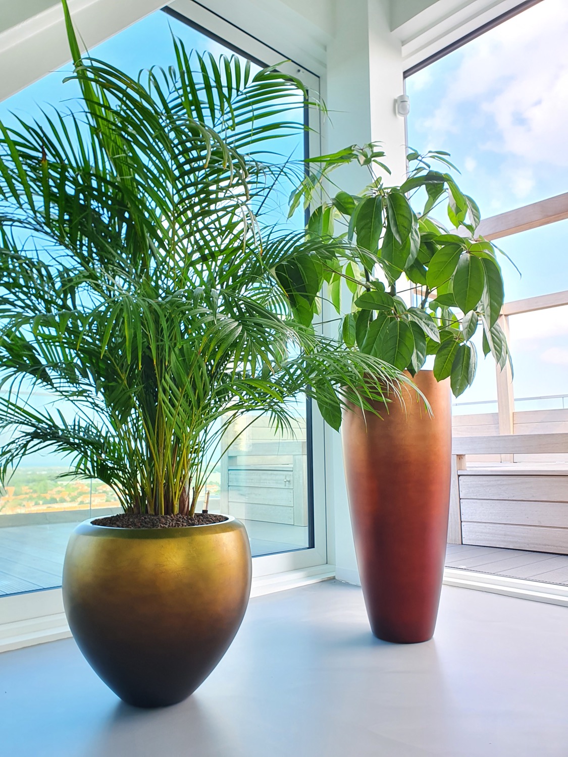 Areca & Amate in Metallic Leaf